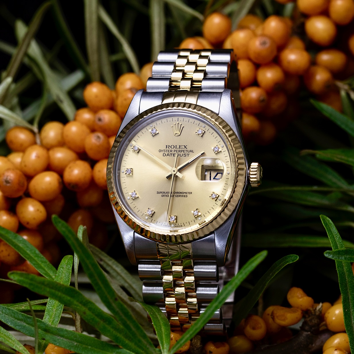 _K4A4151 Datejust 9718784 verkleind